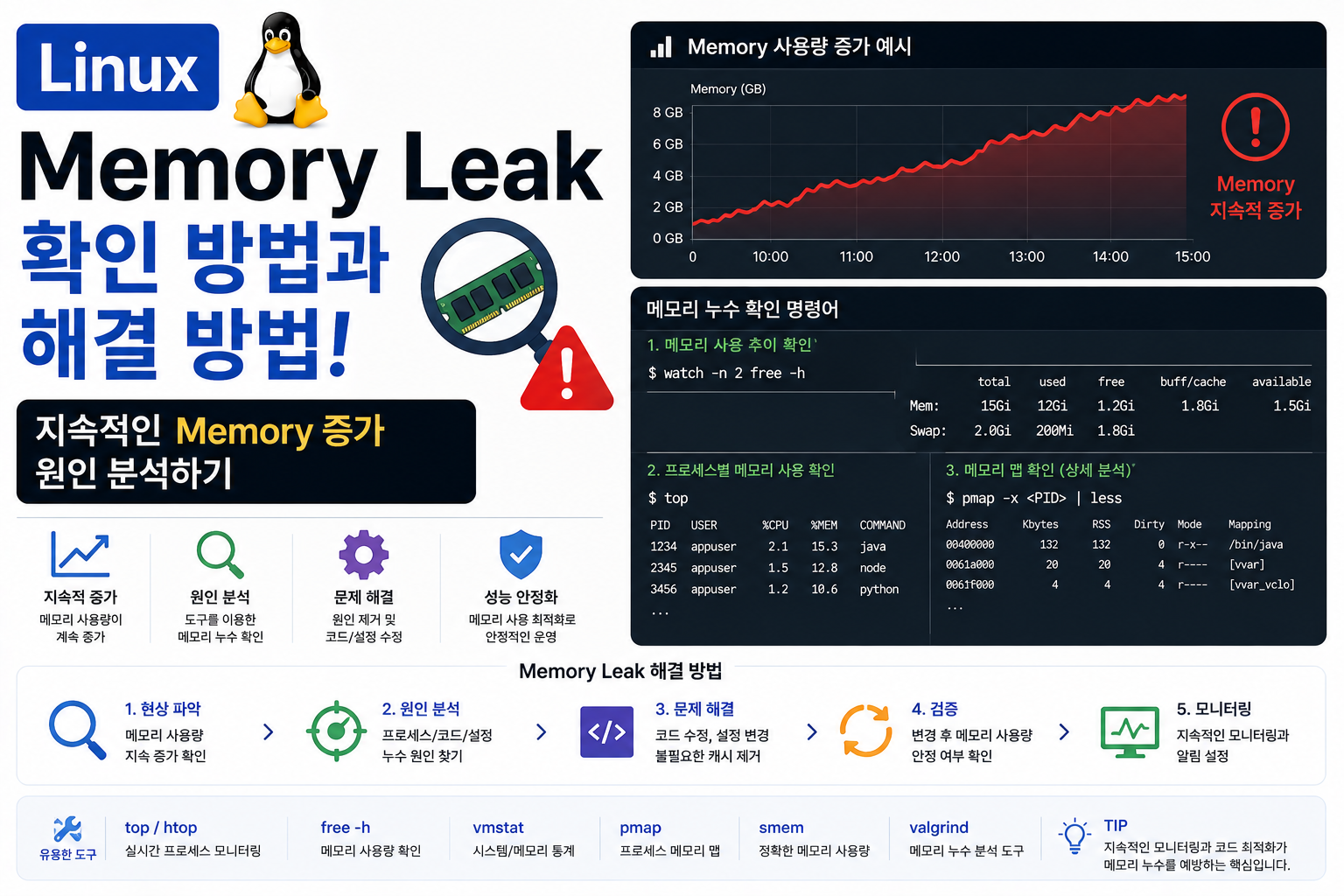 Memory Leak